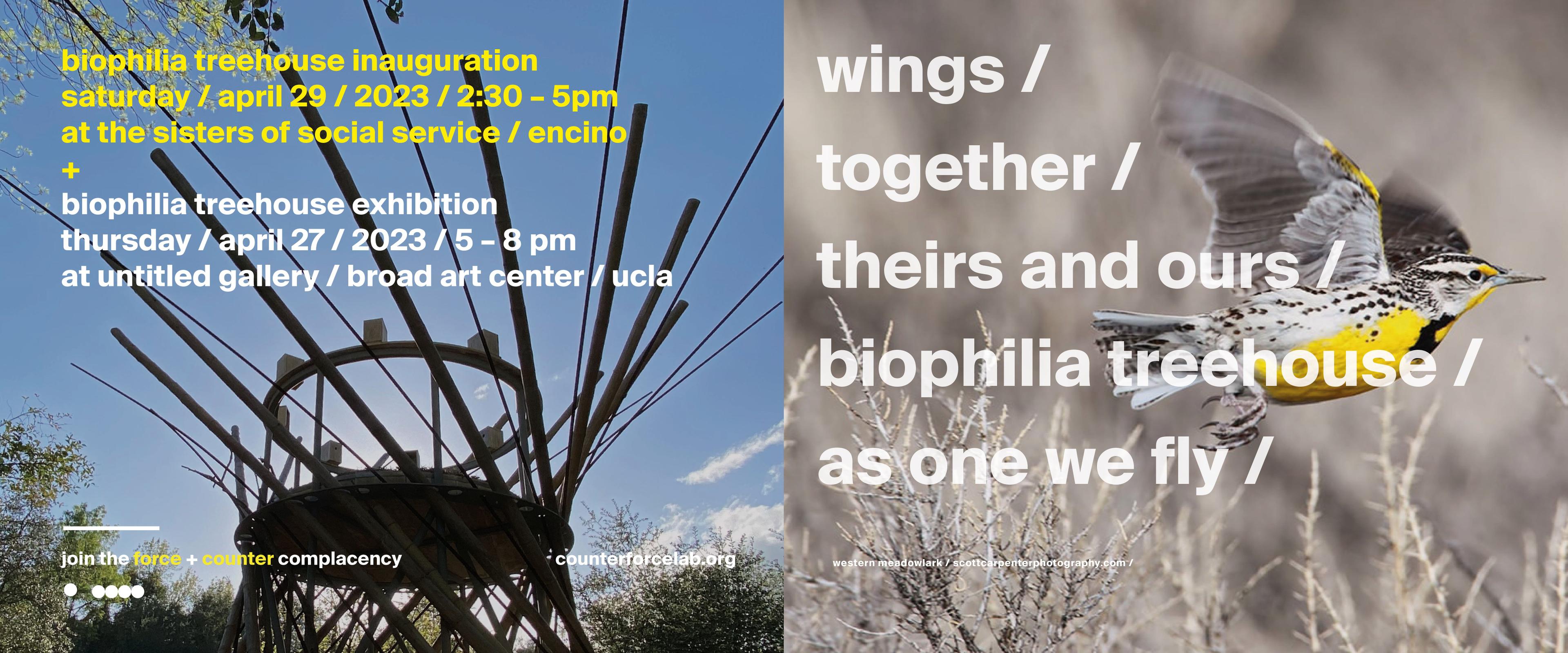 The image on the left is a middle shot of the Biophilia Treehouse surrounded by trees with blue sky. The image on the right is of a beautiful Western Meadowlark bird in flight. 