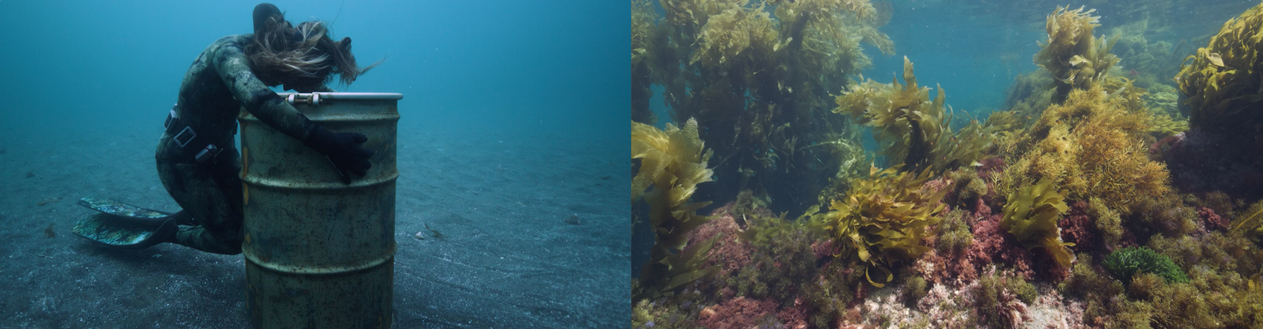 there are two frames, on the left a diver with a barrel, on the right coral