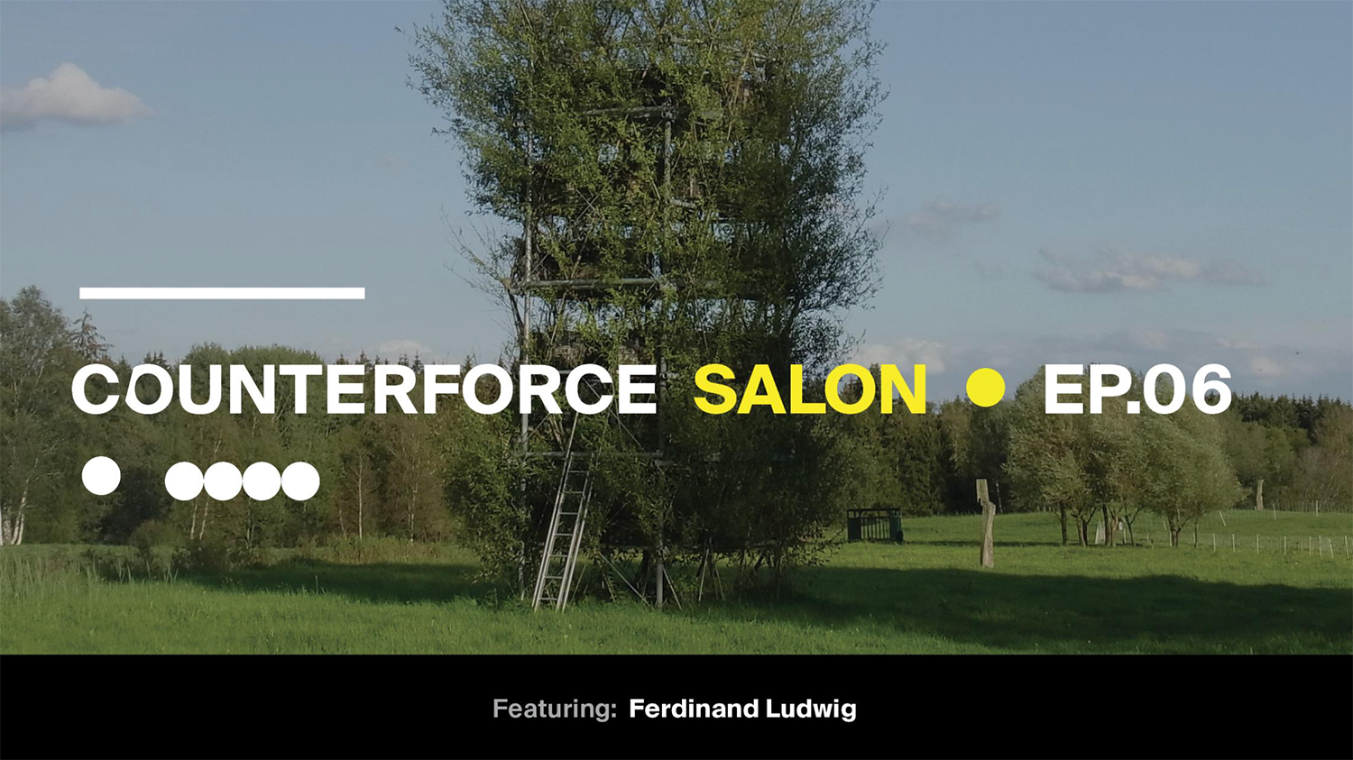A tree in a field with a ladder. The text "counterforce salon ep6" is on top of the image.