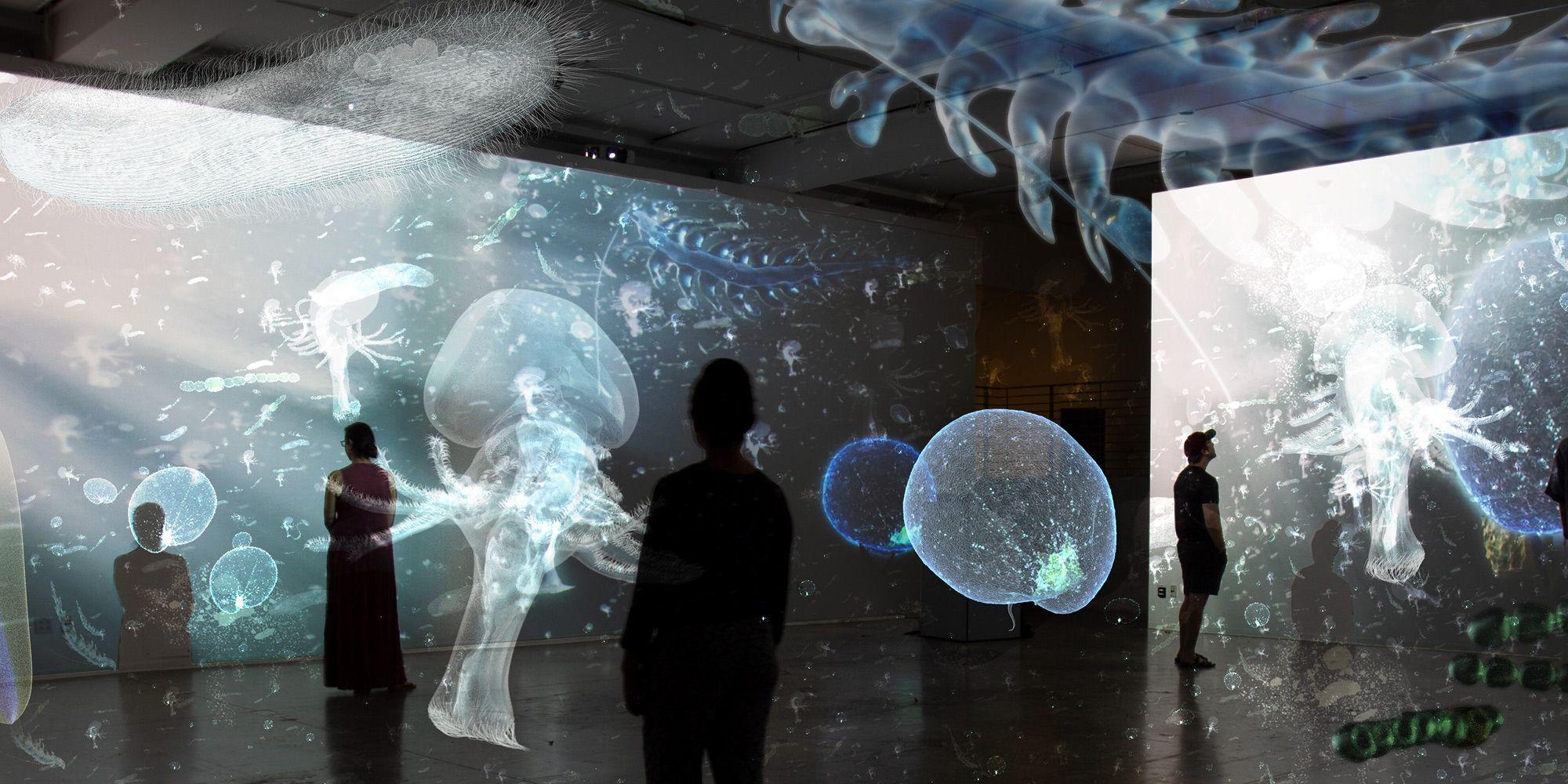 People in a room with many projections of sea life.