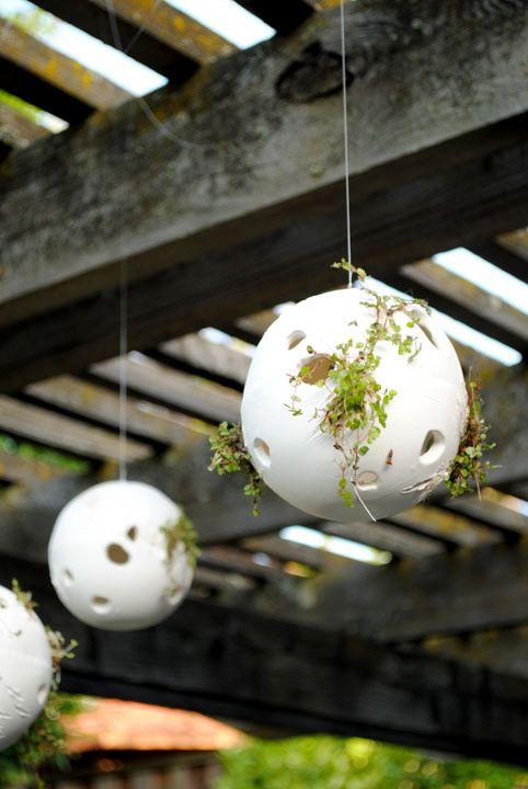There is a white spherical object hanging from the ceiling with lots of holes inside. It has tiny sprouts growing inside of it. There are two more spheres in the background; the photo was taken with a wooden shade structure in the background on a sunny da
