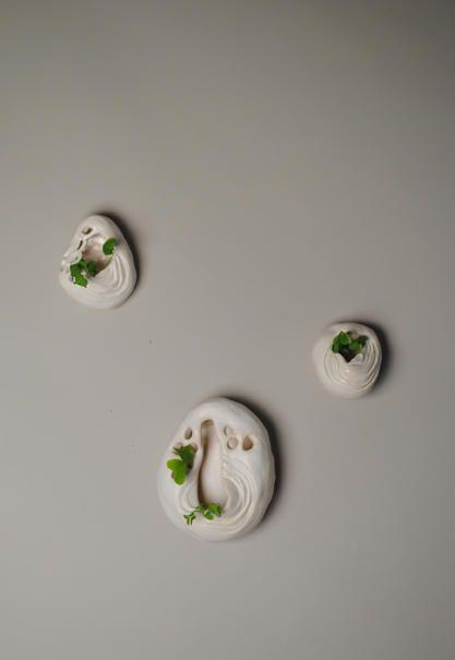 There are three white small ceramic oval-ish shapes. Two have small holes and all have little green leaflet plants coming out of them.