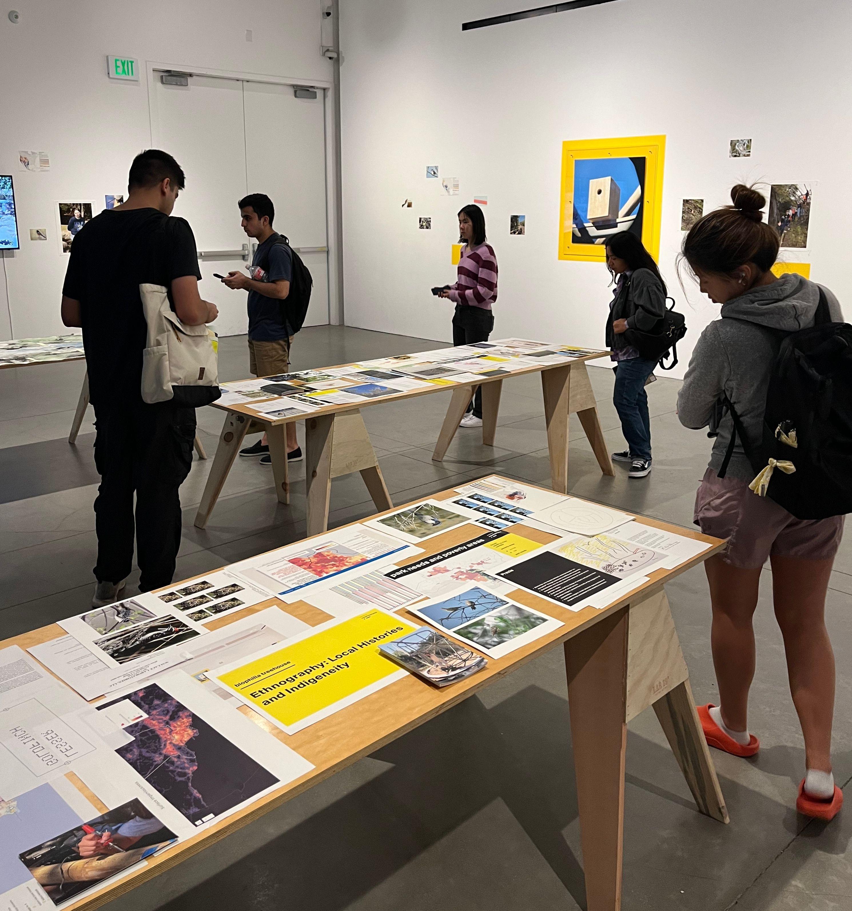 Visitors move around three tables, each plastered with promotional materials, images of birds, and informations related to the research project being displayed.