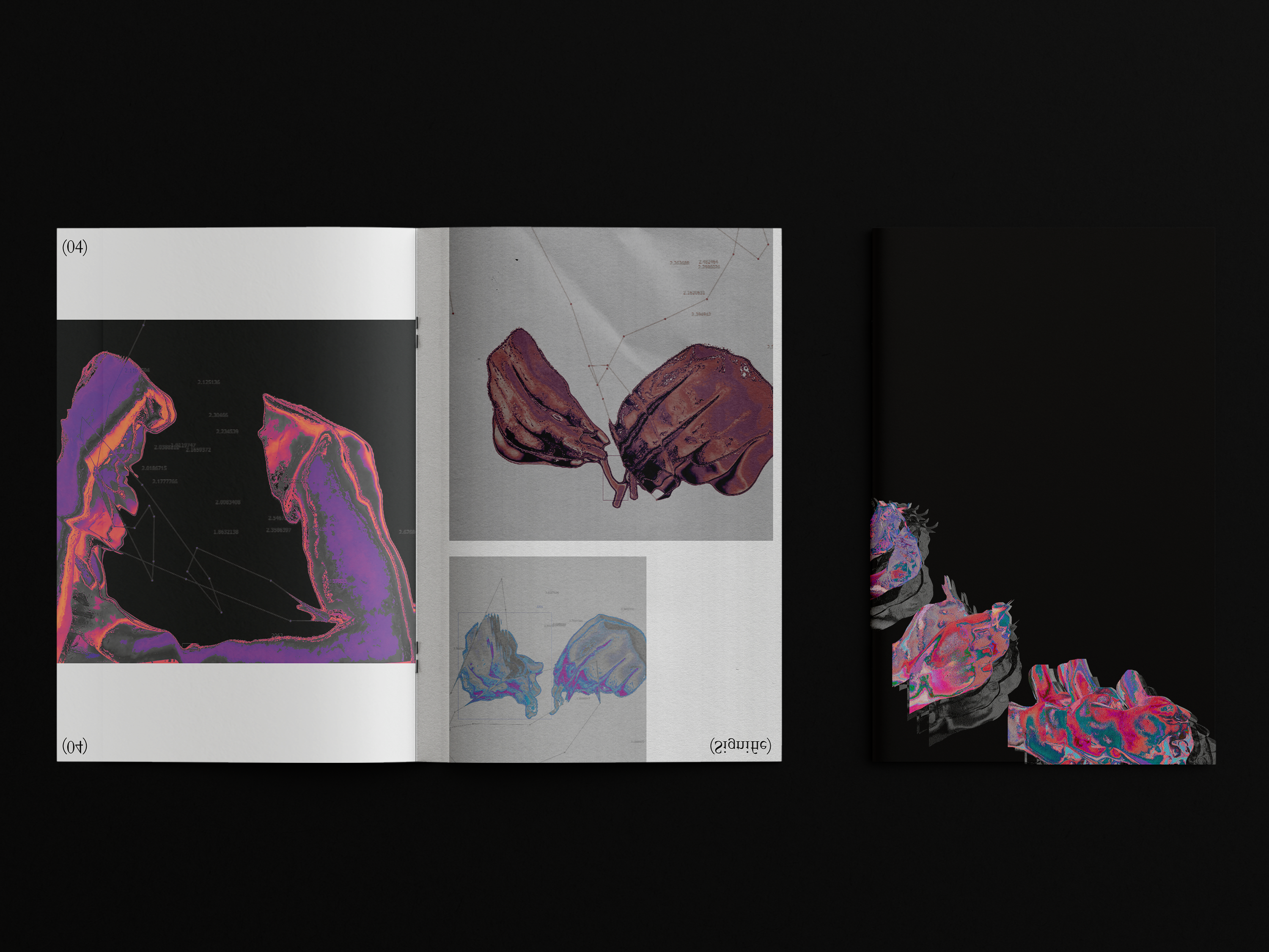 A spread from the booklet depicts an infrared abstract mass, across from two depictions of gloved hands holding a constellation.