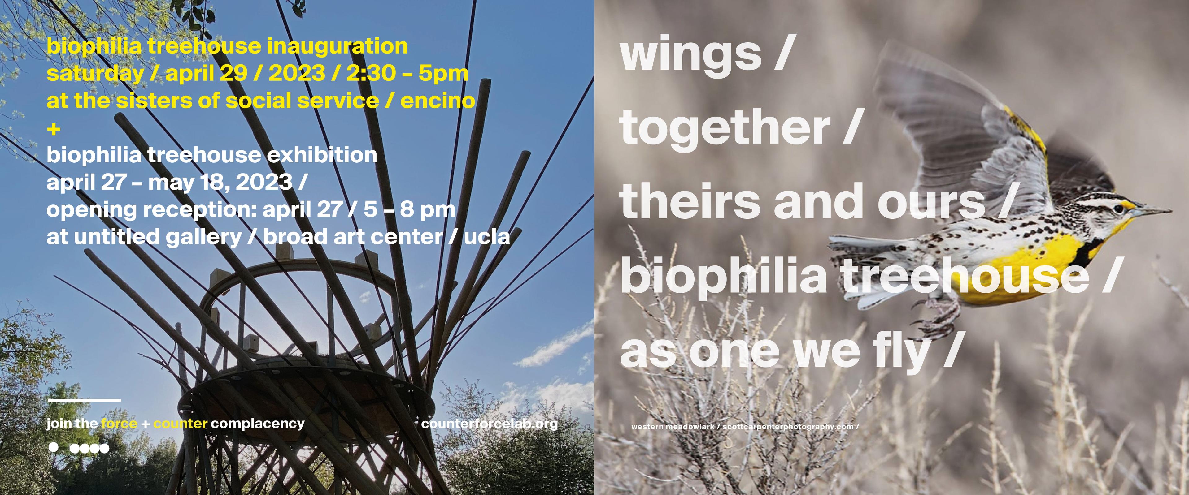 The image on the left is a middle shot of the Biophilia Treehouse surrounded by trees with blue sky. The image on the right is of a beautiful Western Meadowlark bird in flight. 